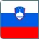Slovenia flag